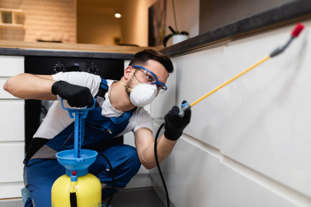 Best Cockroach Control Services  in Panhandle, TX