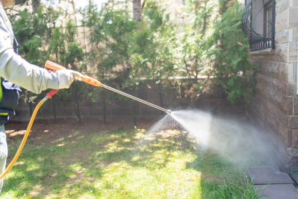 Best Best Pest Control Near Me  in Panhandle, TX