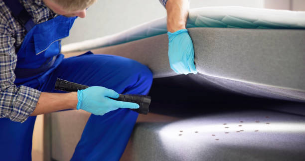 Best Affordable Pest Control Services  in Panhandle, TX