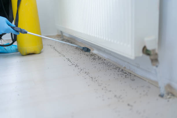 Best Pest Prevention Services  in Panhandle, TX