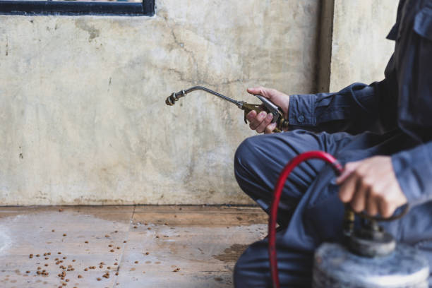 Pest Control Cost in Panhandle, TX